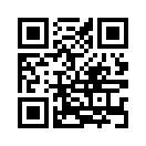 QR CODE 329