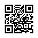 QR CODE 336