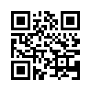 QR CODE 494