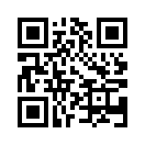 QR CODE 501