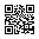 QR CODE 528
