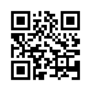 QR CODE 584