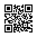 QR CODE 42
