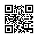 QR CODE 351