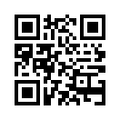 QR CODE 394