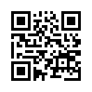 QR CODE 3811