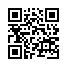 QR CODE 3903