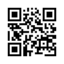 QR CODE 4811