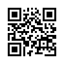 QR CODE 4813