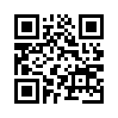 QR CODE 4833