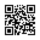 QR CODE 4917