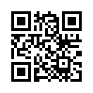 QR CODE 133