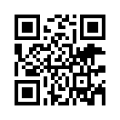 QR CODE 31