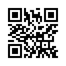 QR CODE 329