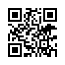 QR CODE 336