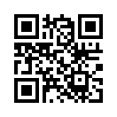 QR CODE 461