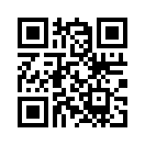 QR CODE 494