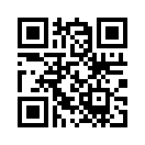 QR CODE 511