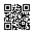 QR CODE 53