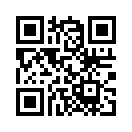 QR CODE 538