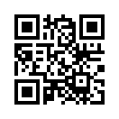 QR CODE 734