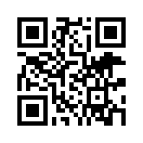 QR CODE 737