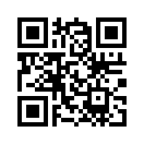 QR CODE 813