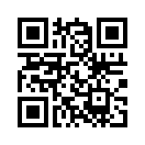 QR CODE 868