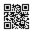 QR CODE 889