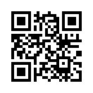 QR CODE 913