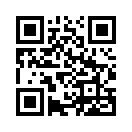 QR CODE 316