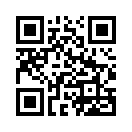 QR CODE 394