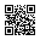 QR CODE 993
