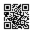 QR CODE 317