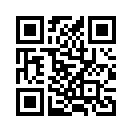QR CODE 394