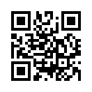 QR CODE 47