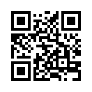 QR CODE 31