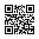 QR CODE 307