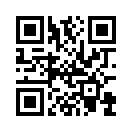 QR CODE 501
