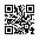 QR CODE 515