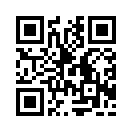 QR CODE 133