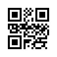 QR CODE 31