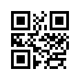 QR CODE 53