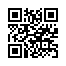 QR CODE 42