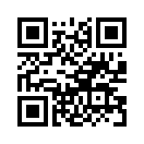 QR CODE 494