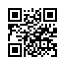 QR CODE 734