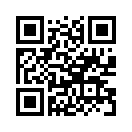 QR CODE 813