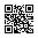 QR CODE 42