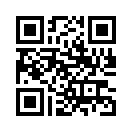 QR CODE 110