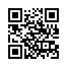 QR CODE 31